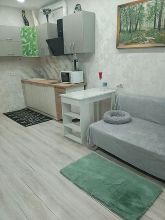 
  Продается студия 21.9 м². Фото 2.