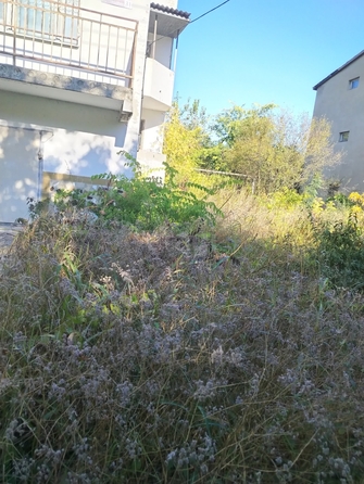 
  Продается дача 266.5 м². Фото 6.