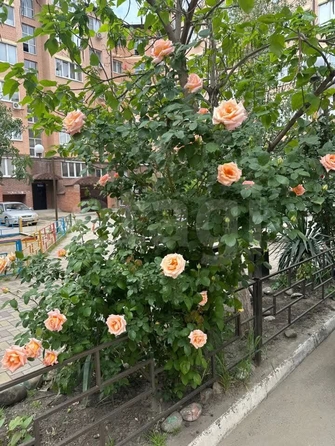 
  Продается 1-комн. квартира 34.7 м². Фото 16.