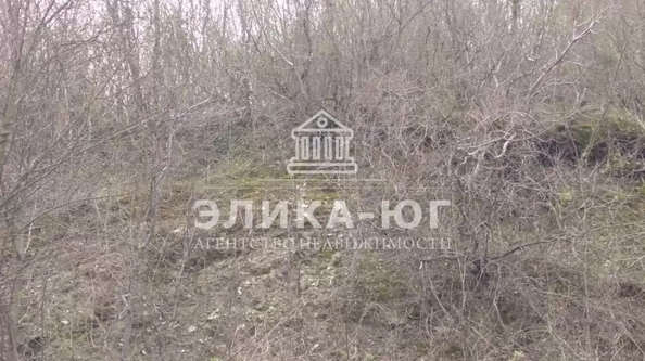 
  Продается земельный участок 10 соток. Фото 12.