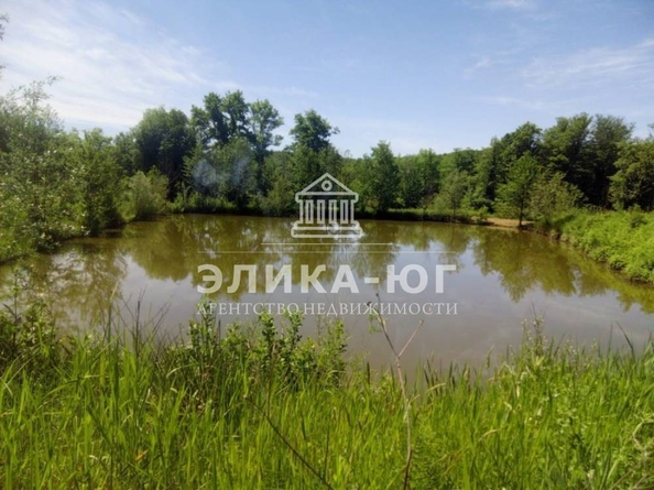 
  Продам  дачный участок, 220 соток, Дефановка

. Фото 17.