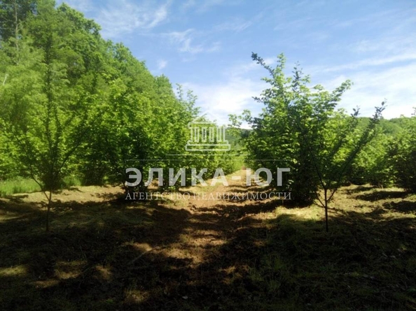 
  Продается земельный участок, 220 соток, село Дефановка
. Фото 15.