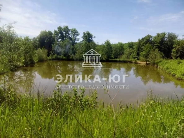 
  Продается земельный участок 220 соток. Фото 17.