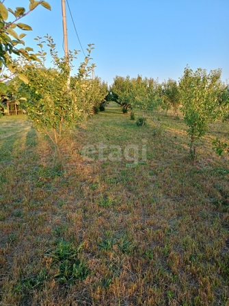 
  Продается земельный участок 9050.73 соток. Фото 28.