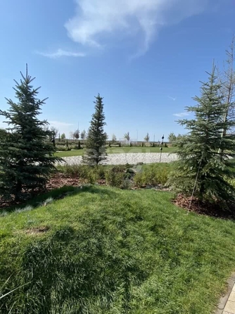 
   Продам 1-комнатную, 36 м², Матрёны Наздрачёвой ул, 3/3к2

. Фото 31.