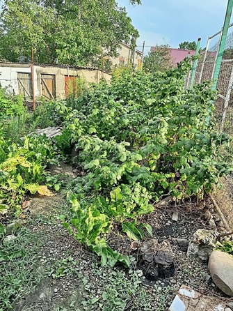 
  Продается 2-комн. квартира 34.2 м². Фото 14.