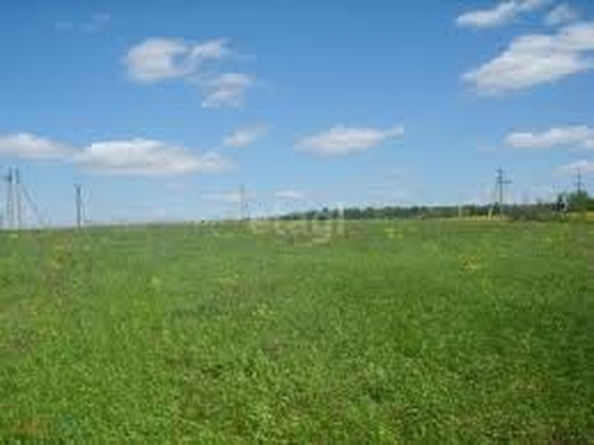 
  Продается земельный участок, 8 соток, село Надежда
. Фото 4.