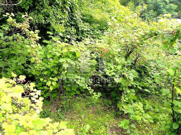 
  Продается земельный участок, 4 сотки, Кисловодск
. Фото 3.