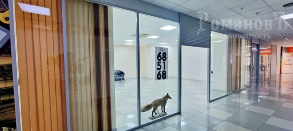 
  Продается торговая площадь, 145 м², Доваторцев ул, д. 30Б
. Фото 11.