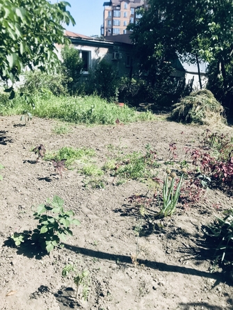 
  Продается 3-комн. квартира, 56 м², Пальмиро Тольятти ул, д. 157
. Фото 10.