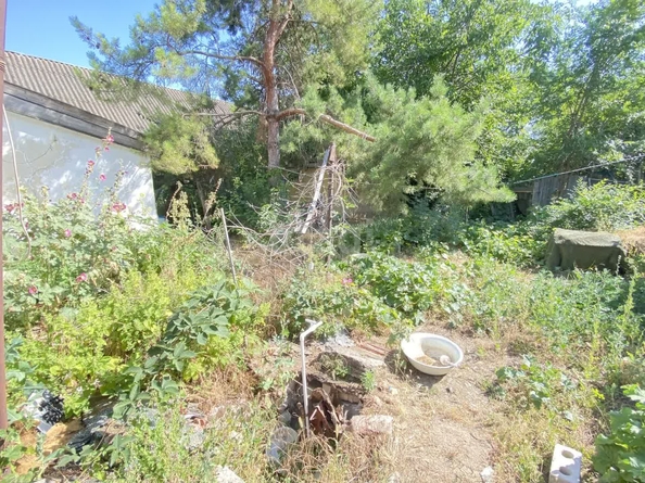 
  Продается дом, 54.7 м², село Чернолесское
. Фото 17.