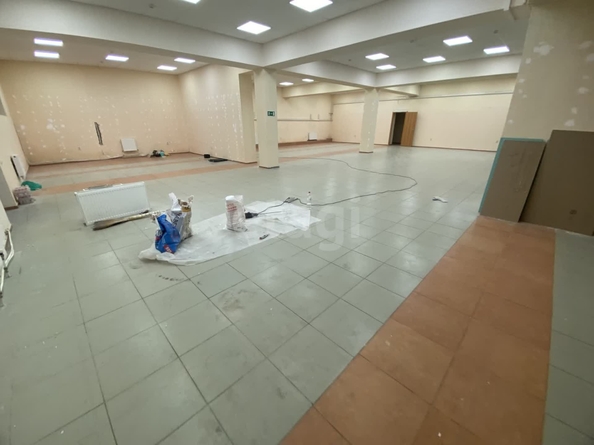 
  Сдается универсальное помещение, 315 м², Пирогова ул, д. 18б
. Фото 13.