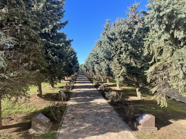 
  Продается универсальное помещение 297 м². Фото 12.