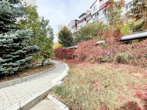 
  Продается 4-комн. квартира, 168.3 м², Доваторцев ул, д. 37/5
. Фото 31.