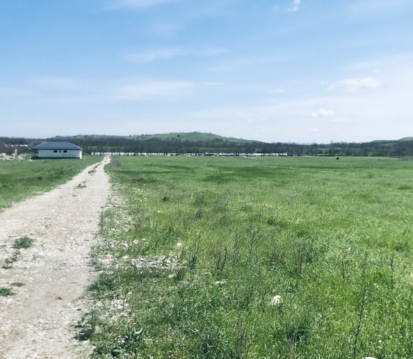 
  Продается земельный участок, 8 соток, поселок Нижнеподкумский
. Фото 2.