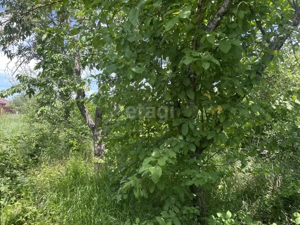 
  Продается земельный участок, 7.41 соток, Ставрополь
. Фото 5.