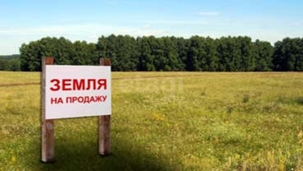 
  Продается земельный участок 9 соток. Фото 1.