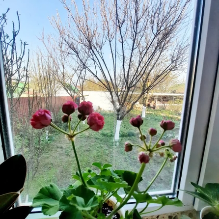 
  Продается дом 133.1 м². Фото 8.