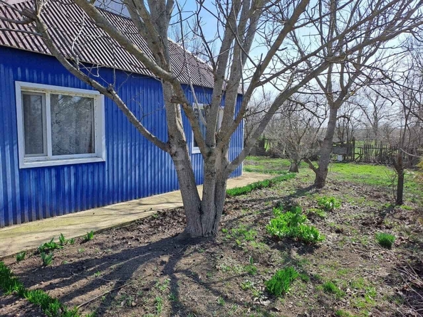 
  Продается земельный участок 62.05 сотки. Фото 1.