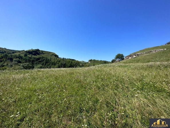 
  Продается земельный участок 47 соток. Фото 7.