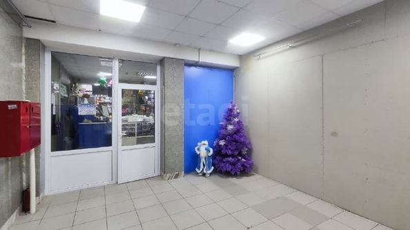 
  Сдается универсальное помещение 213 м². Фото 4.