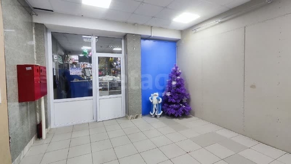 
  Сдается универсальное помещение 213 м². Фото 9.
