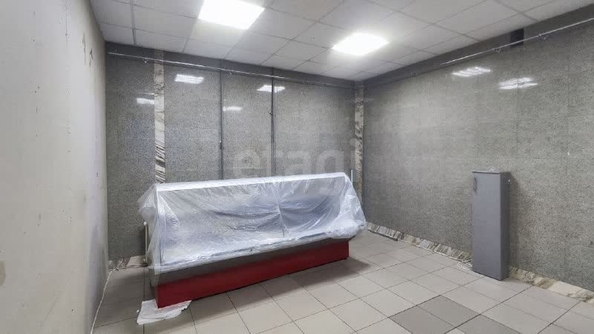 
  Сдается универсальное помещение 213 м². Фото 12.