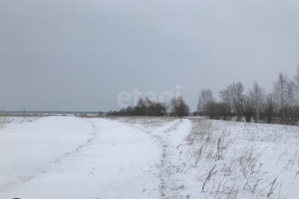 
  Продается земельный участок 5 соток, в КП Радонеж. Фото 5.