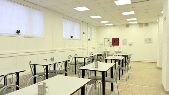 
  Продается универсальное помещение 355 м². Фото 7.