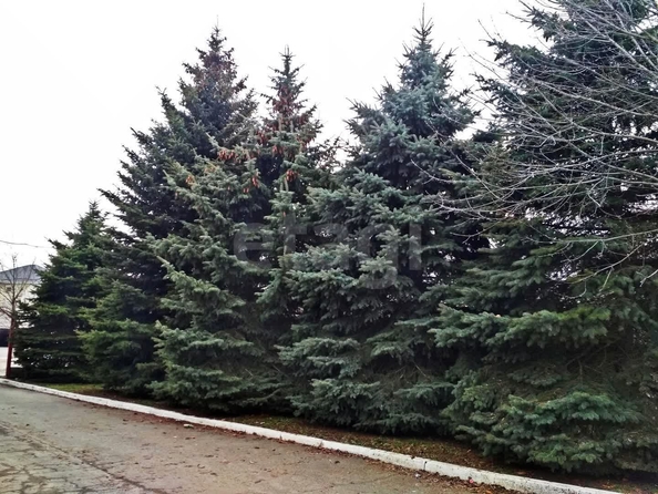 
  Продается дом 1500 м². Фото 2.