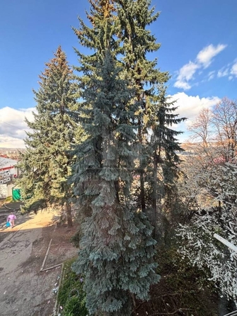 
  Продается 2-комн. квартира 44.5 м². Фото 16.