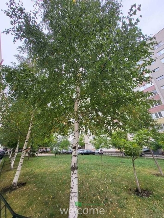 
  Продается 1-комн. квартира 34 м². Фото 11.
