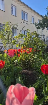 
  Продается 2-комн. квартира 33 м². Фото 16.