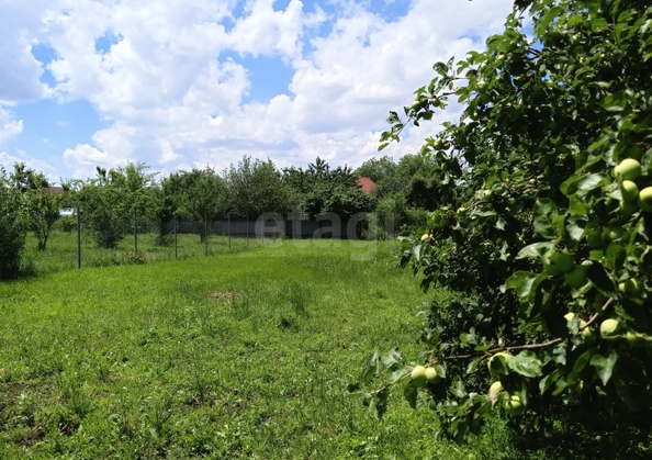 
  Продается дом 51.8 м². Фото 18.
