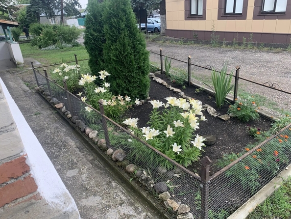 
  Сдается 2-комн. квартира 46.4 м². Фото 13.