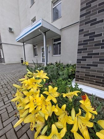 
  Продается 1-комн. квартира 37.4 м². Фото 4.