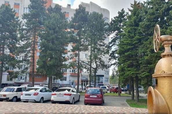 
  Сдается 1-комн. квартира 50 м². Фото 8.