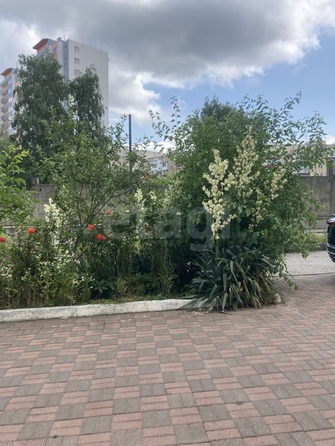 
  Продается студия 25 м². Фото 12.