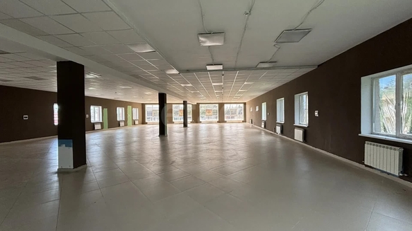 
  Сдается универсальное помещение 450 м². Фото 9.
