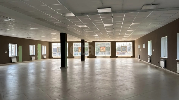 
  Сдается универсальное помещение 450 м². Фото 16.