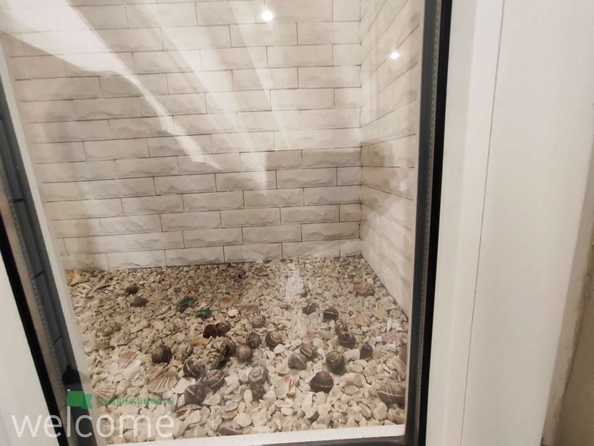 
  Продается универсальное помещение 39.2 м². Фото 12.