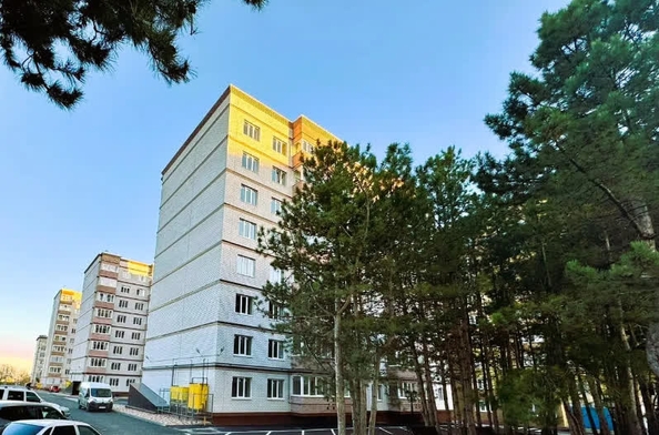 
  Сдам в аренду 1-комнатную квартиру, 38 м², Ставрополь

. Фото 8.