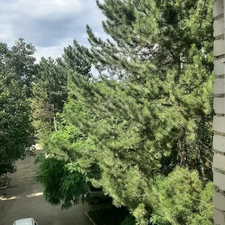
  Продается 3-комн. квартира 66.9 м². Фото 13.