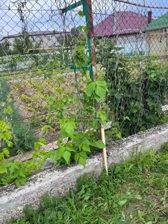 
  Продается земельный участок 24 сотки. Фото 5.