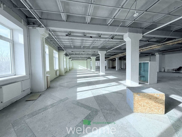 
  Сдается универсальное помещение 550 м². Фото 8.