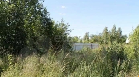 
  Продается земельный участок 28.1 соток. Фото 2.