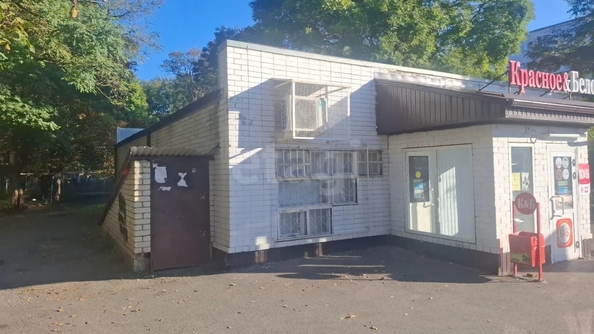 
  Продается торговая площадь 193 м². Фото 7.