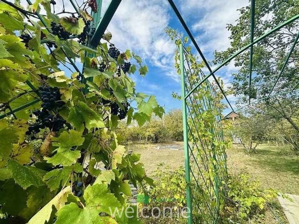 
  Продается земельный участок 10.48 соток. Фото 1.