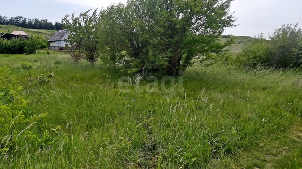 
  Продается земельный участок 17.3 соток, в КП Долина Роз. Фото 5.