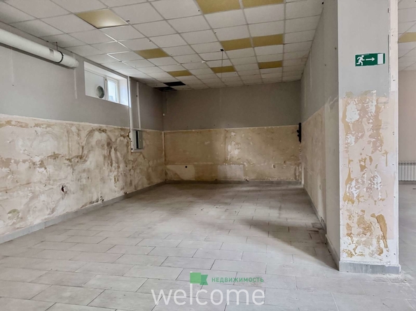 
  Сдается универсальное помещение 143.5 м². Фото 6.